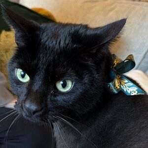 Meet your Posher, Amal